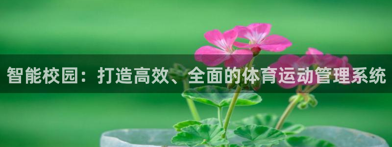 杏宇体育3在线注册