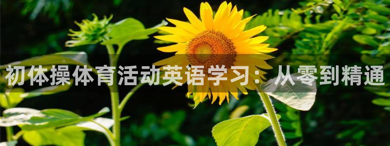 杏宇体育热门赛事有哪些