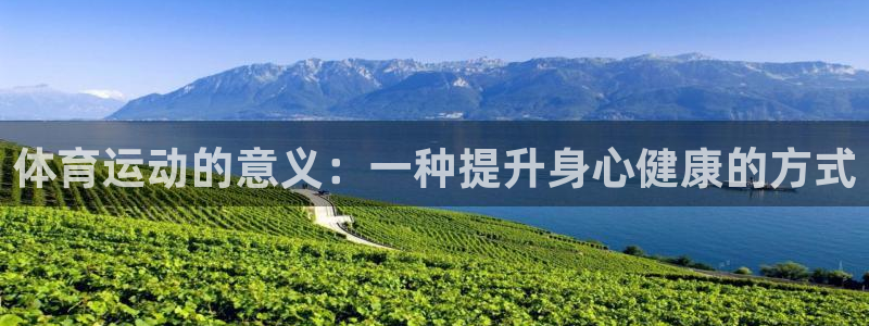 德国意昂集团