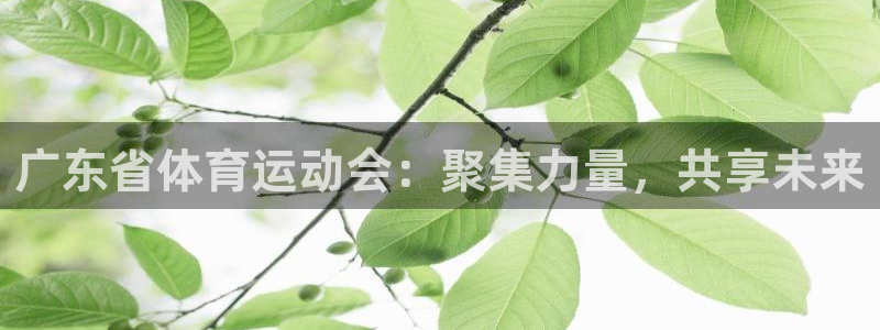 杏宇体育2