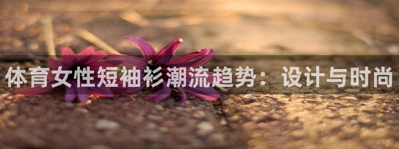 杏宇官网入口