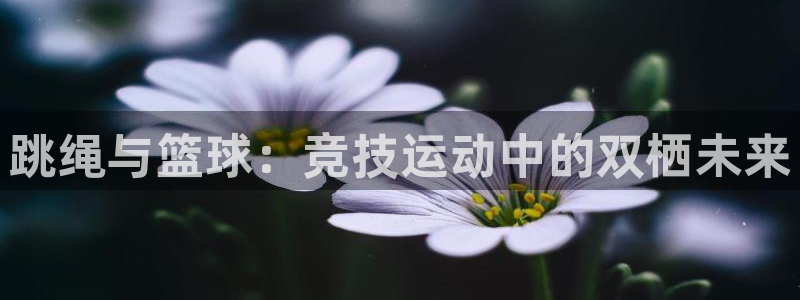 杏宇4平台注册