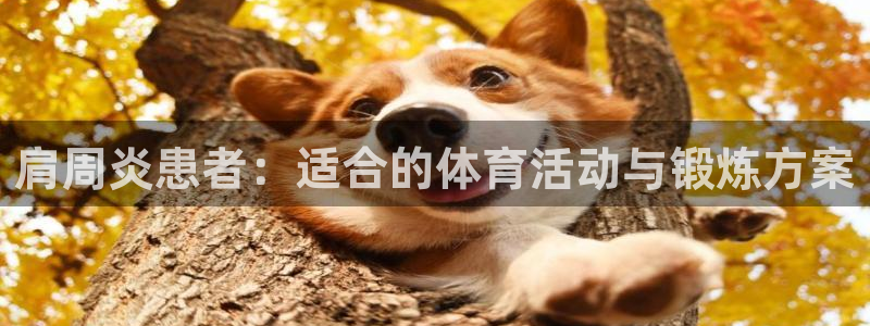 杏宇体育代理